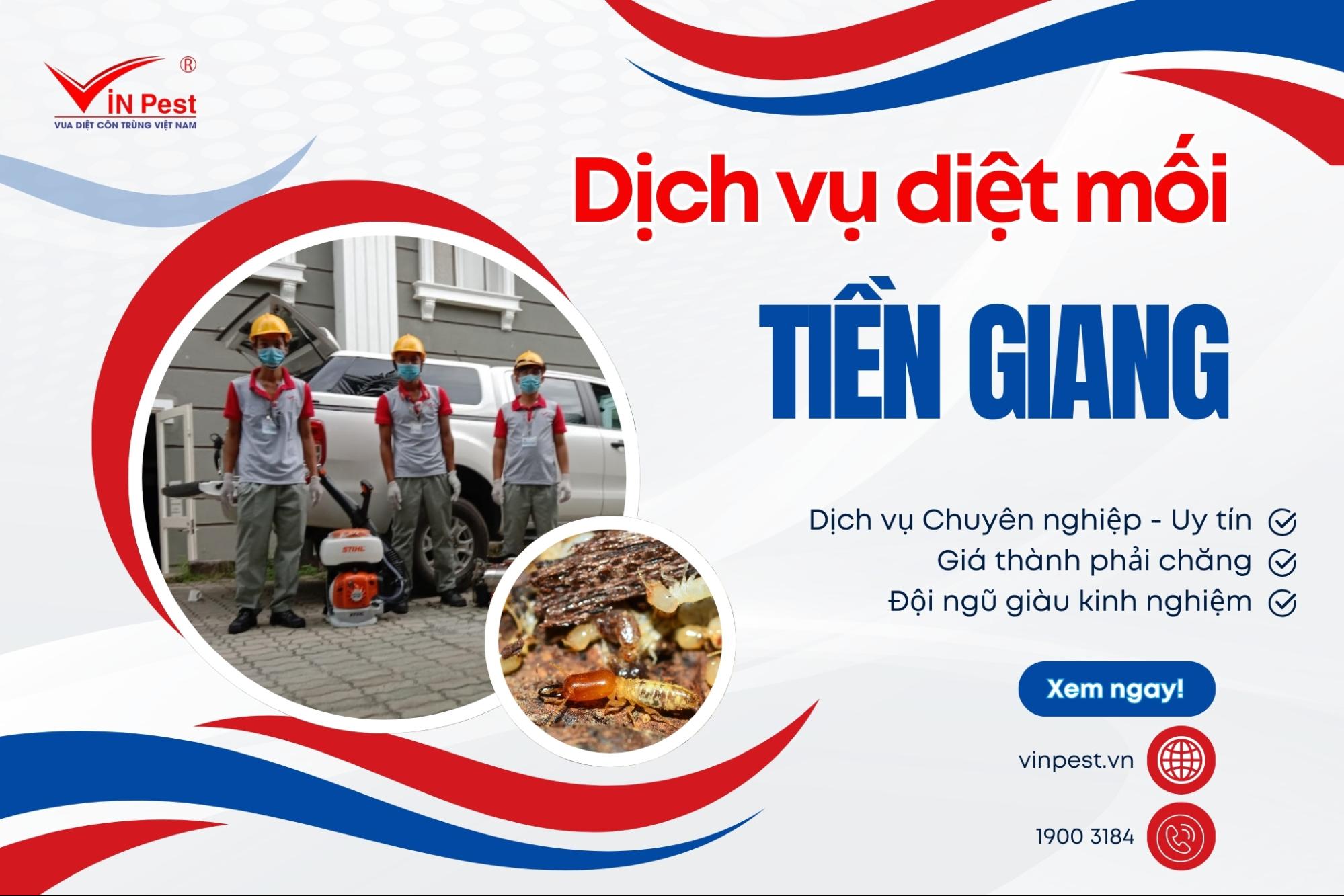 dịch vụ diệt mối tận gốc tiền giang