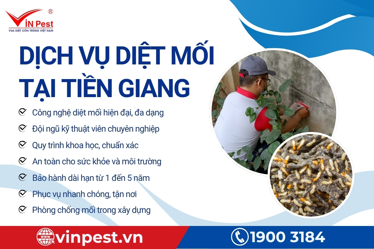 ưu điểm dịch vụ diệt mối tại nhà tiền giang