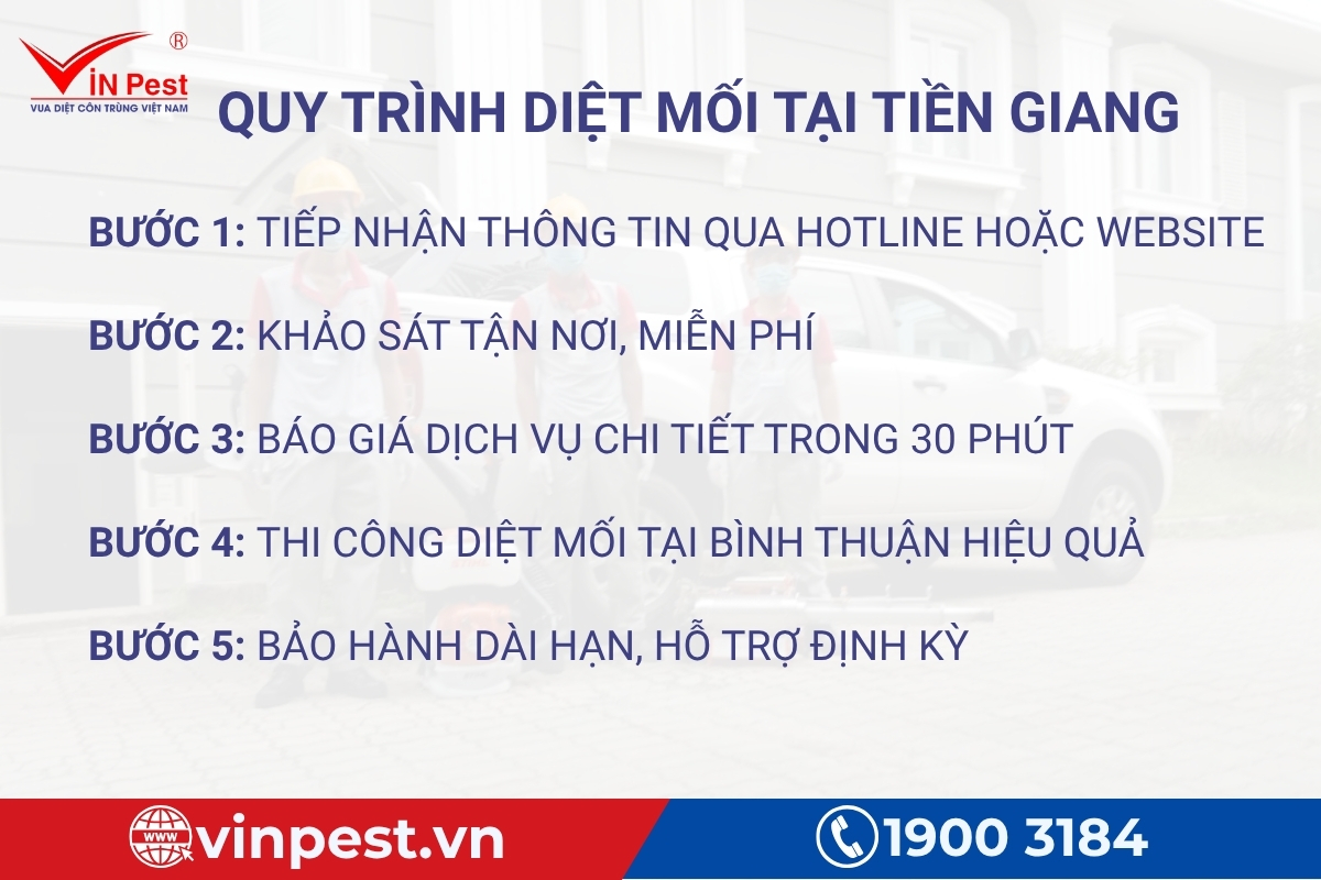 quy trình công ty diệt mối tiền giang
