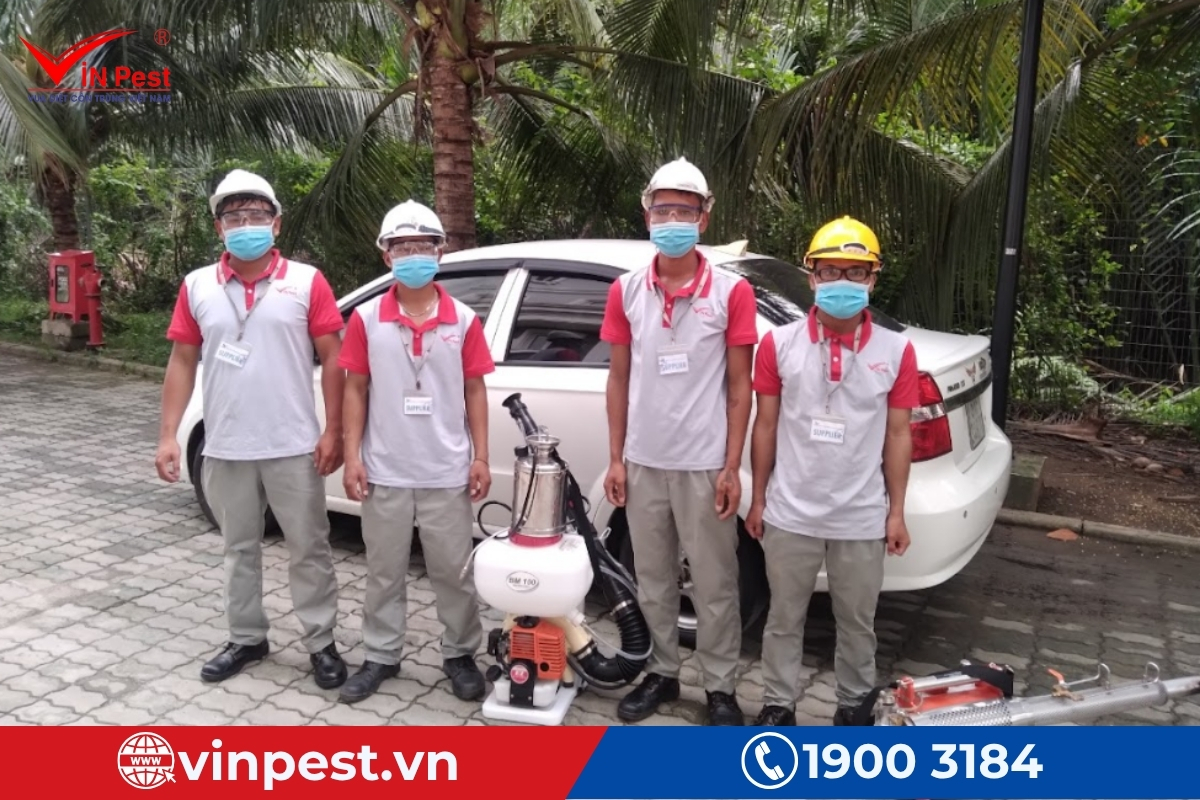 công ty diệt mối tận gốc tiền giang