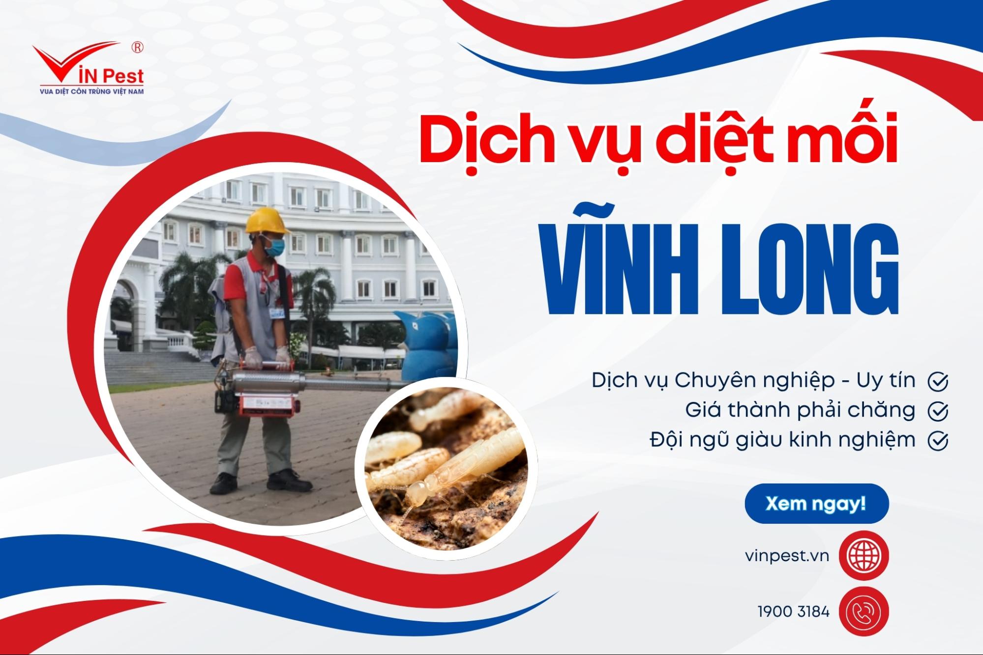 diệt mối tại vĩnh long an toàn