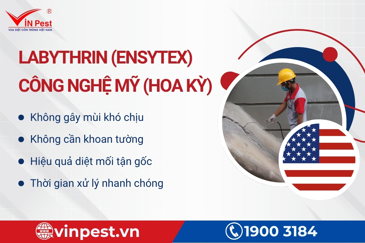 dịch vụ diệt mối vĩnh long công nghệ Labythrin