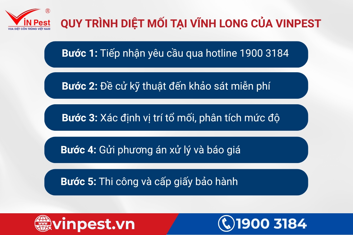 Quy trình dịch vụ diệt mối tại nhà vĩnh long