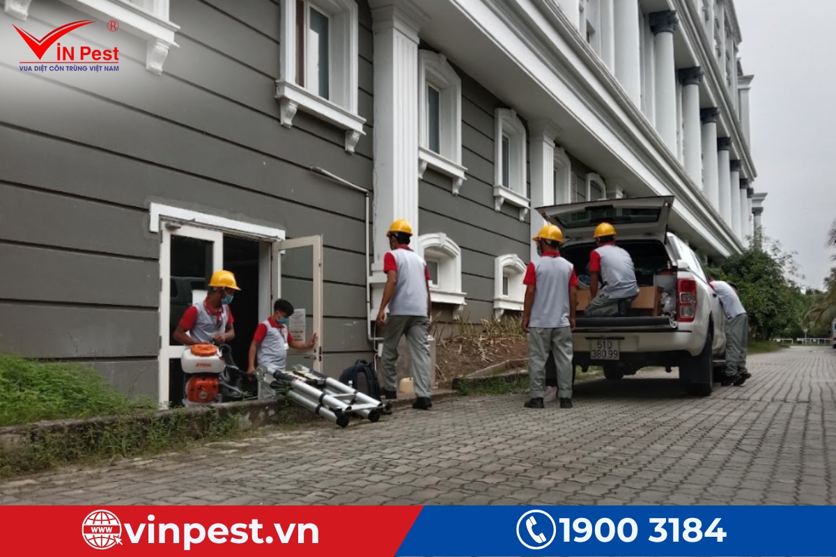 dịch vụ diệt mối tại nhà thái nguyên