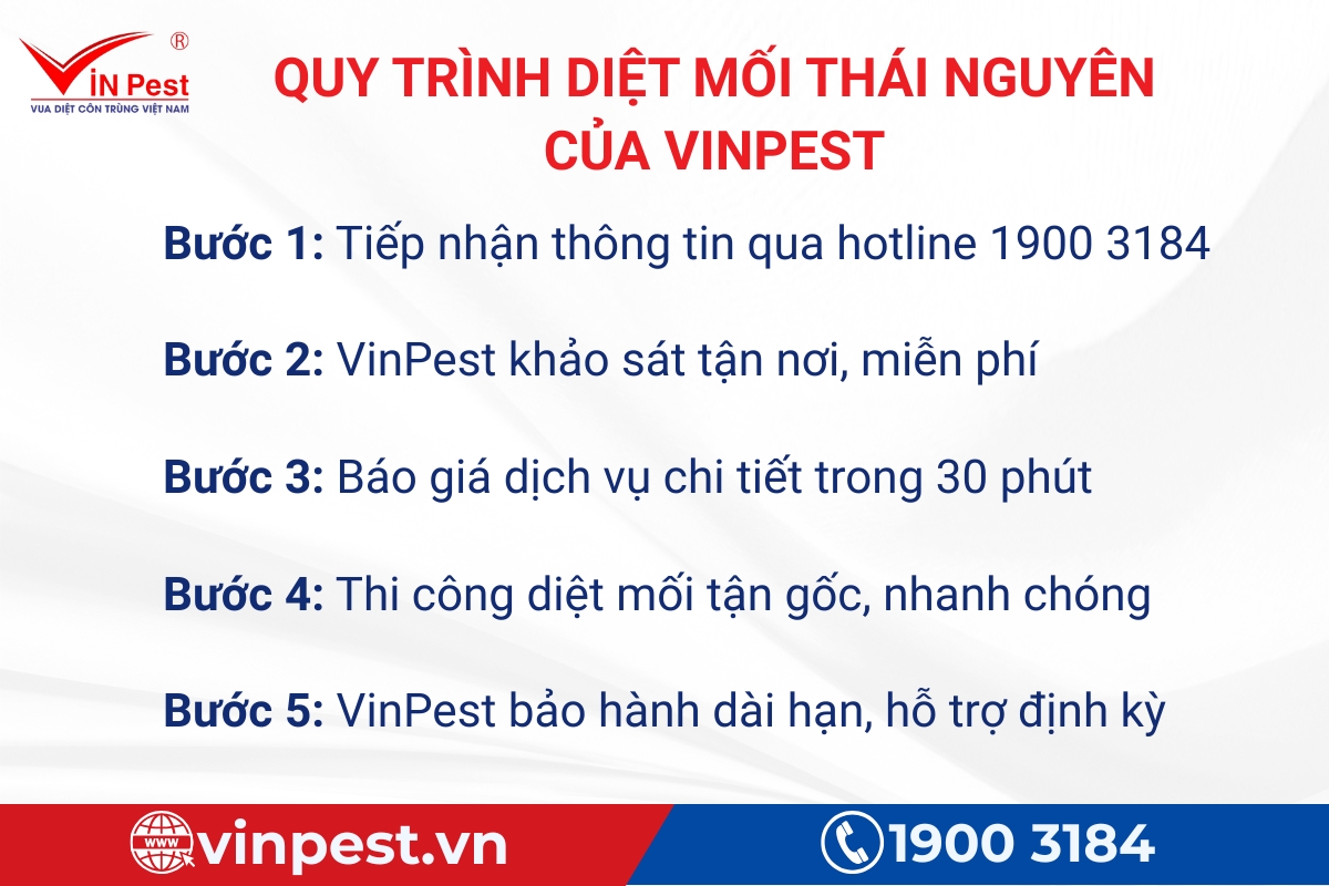 công ty diệt mối tận gốc thái nguyên