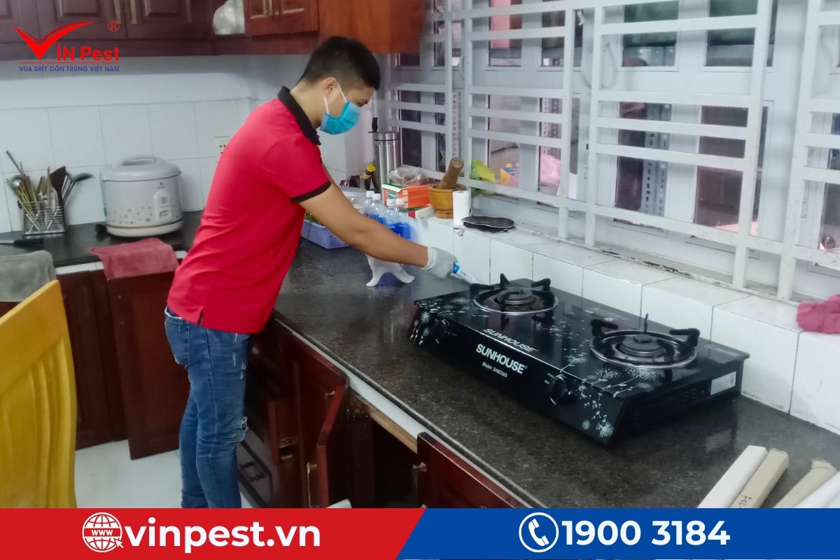 quy trình dịch vụ diệt côn trùng tận gốc quận 5